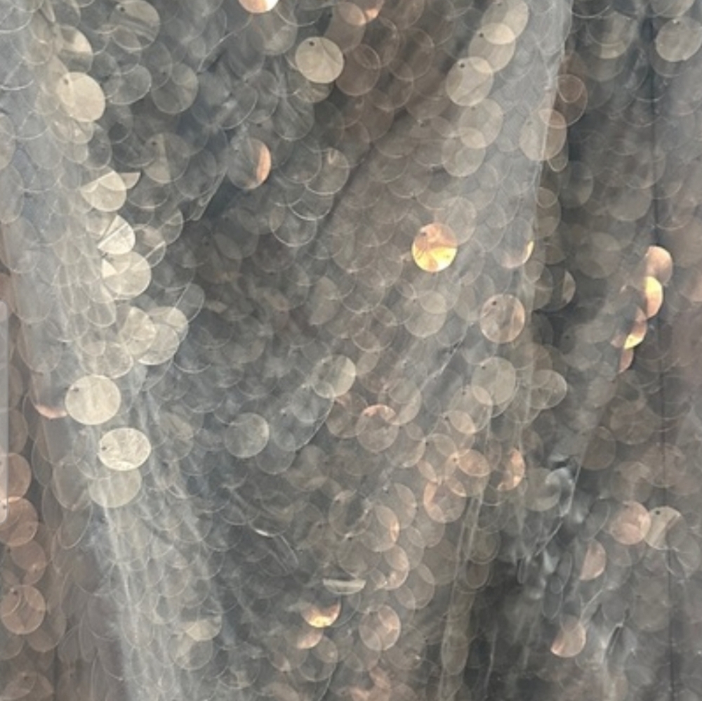 Rat & Boa Light Blue Sequin Maxi Dress - Picture 8 of 13